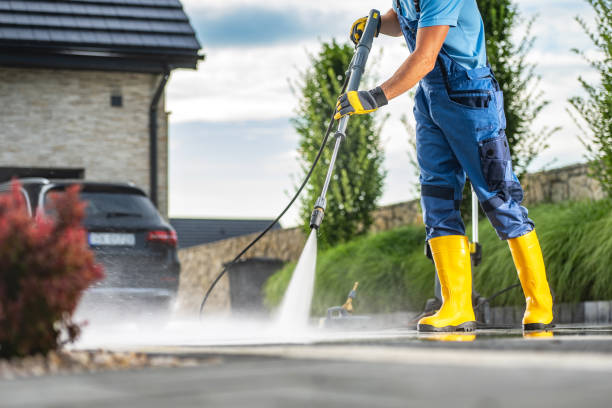 Best Fence Cleaning and Maintenance in Canby, MN